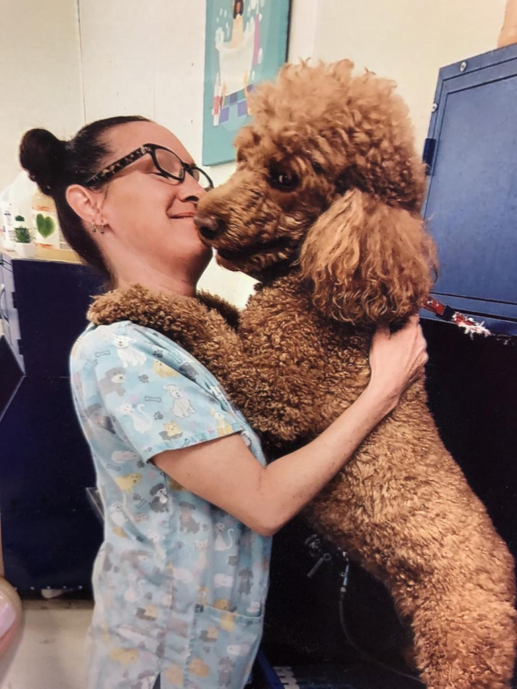 about-us-amore-pet-care-of-la